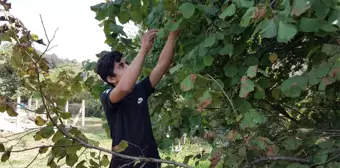 (Özel) Kilometrelerce uzaktan okul harçlıklarını biriktirmek için geldiler