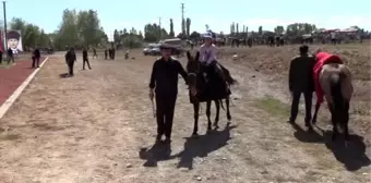 Amasya'da rahvan at yarışları yapıldı