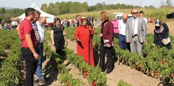 Kapya Biber Tarla Günü etkinliği düzenlendi