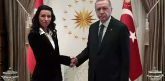 Büyükelçilerden, erdoğan'a 'güven mektubu'