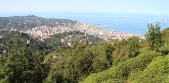 Karadeniz'de orman varlığı yok olan arazilerde sel ve heyelanlar artıyor