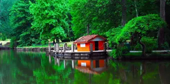 Atatürk Arboretumu nerede? Atatürk Arboretumu giriş ücretleri ve Atatürk Arboretumu ulaşım