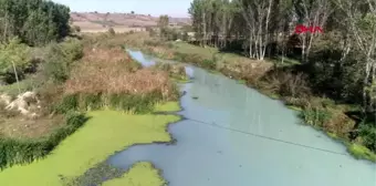 Kırklareli-teke deresi'nde kirlilik; beyaz ve gri renkte akıyor-1