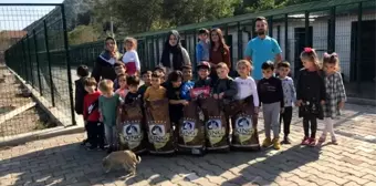 Minik anaokulu öğrenciler köpek barınağını ziyaret etti