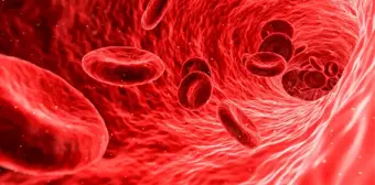 HGB nedir? Hemoglobin nedir? HGB düşüklüğü nedir? HGB değeri nedir? HGB ne demek?