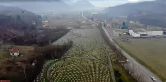 (Özel) Srebrenitsa annesinden Nobel Ödüllü yazara: 'Katliamın kanıtı işte bu mezarlık'