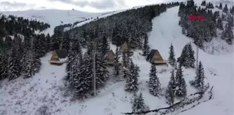 Ordu çambaşı yaylası'ndaki bungalov evlere ilgi