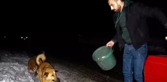 Gündüz pilav satıp gece sokak hayvanlarını besliyor