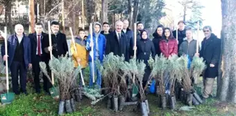 Hayrettin Karaca anısına fidanlar toprakla buluştu