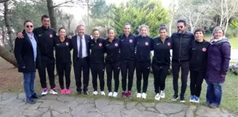 Kadın Milli Tenis Takımı, Fed Cup yolunda