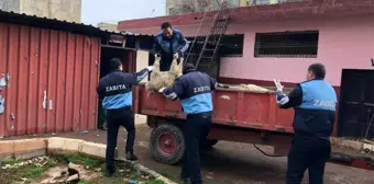 Viranşehir'de sağlık tacirlerine operasyon