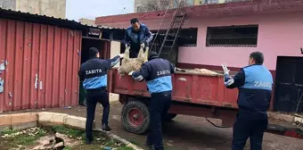 Zabıta ekipleri, kaçak et kesimini durdurdu