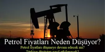 Petrol fiyatları neden düşüyor? Petrol fiyatları daha düşecek mi? Petrol fiyatlarındaki düşüşten Türkiye nasıl etkilenecek? OPEC fiyatları nedir?