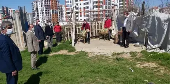 Malatya'da Bakan Soylu için koç kesildi