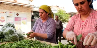 Kaymakçı baklasına Büyükşehir desteği