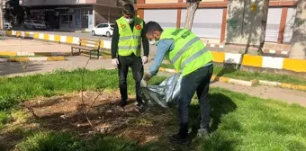 Viranşehir'de sokak hayvanları için mama bırakıldı