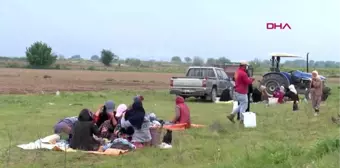 MANİSA İzinle Manisa'ya gelen mevsimlik tarım işçileri, korona tedbirleriyle tarlada