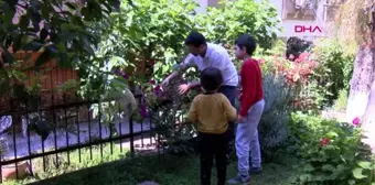 Türk ve Çinli aileler koronavirüsten ders aldı Çocuklarımızla daha çok vakit geçirmek istiyoruz