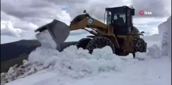 Ordu yaylalarında kar mücadelesi