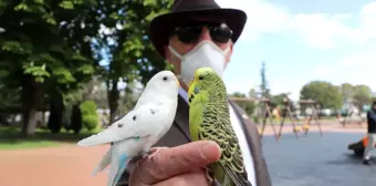 Her yere muhabbet kuşları 'Süslü' ve 'Beyaz' ile gidiyor