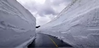 Ordu'da kardan kapalı yollar açılıyor