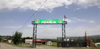 Bingöl çiftçisinin yüzü, yerli 'Guldar' ve 'Dodan' fideleriyle gülecek