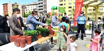 Kastamonu Belediyesi, çocuklara 15 bin çiçek fidesi dağıttı