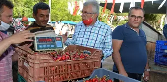 Mendegüme Toptan Erik ve Kiraz Pazarı açıldı