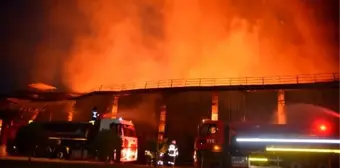 Adana'da nişasta fabrikasında yangın (4)