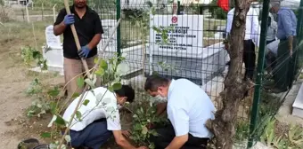 Kaymakamlıklardan 'Kahramanlara vefa' projesi