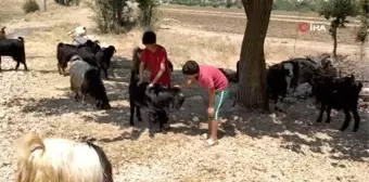 Ölen kuzusu için gözyaşlarına boğulan çocuk kazayı anlattı