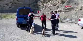 Sıcaktan etkilenen hayvanlara su ve yiyecek taşıdılar