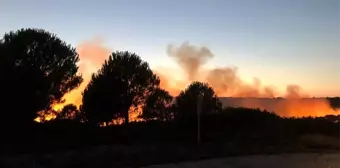 Son dakika... Bozcaada'da korkutan yangın