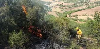 Son dakika haberleri | Kula'da 2 yer haricinde mangal yakmak yasaklandı