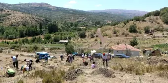 Genç Medyacılar Derneği basın hatıra ormanı açtı