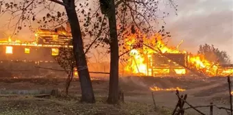 Son dakika haber! Çankırı ve Kastamonu'da orman yangını (2)