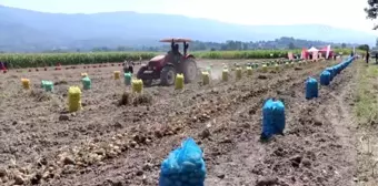 Tarla günü etkinliği düzenlendi