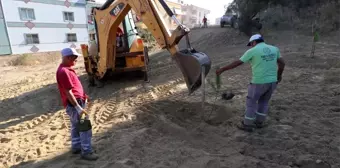 Turgutlu Belediyesi ekiplerinden yol ve ağaçlandırma çalışması