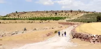 Bahçesinde yetiştirdiği hünnabın gelirini Afrikalılara vakfetti