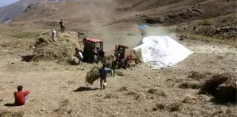 Hakkari'de besicilerin kış hazırlıkları başladı