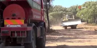 Son dakika haber... Yangından 'can' kurtardılar