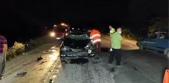 Çarptığı hayvan otomobilin bagajının üstünde kaldı