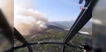 Aydıncık'da orman yangını