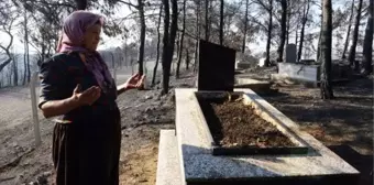 Son dakika haber! Hatay'daki orman yangınında mezarlıklar da zarar gördü