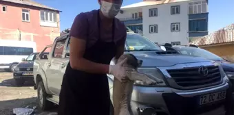 O hayvanlar, Başkan Arıkan'ın talimatıyla koruma altına alındı