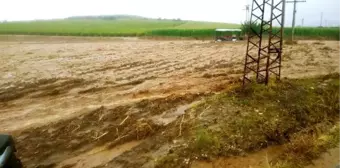 Turgutlu'da sağanak; 2 dere taştı, evler ve ahırlar su altında kaldı