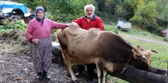 28'nci kez doğum yapacak! Bu aile her şeyini 'Devlet'e borçlu