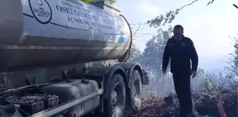 Ordu'daki orman yangınında, 10 hektarlık alan zarar gördü