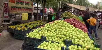 Türkiye İzmir için tek yürek