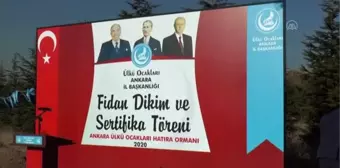 Ülkü Ocaklarından fidan dikim seferberliği